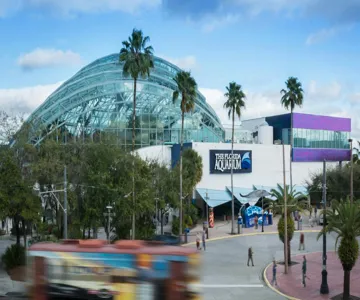 The Florida Aquarium: Entry Ticket